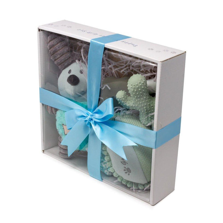 Dog Puppy Gift Set - Aqua Blue - All Pet Solutions