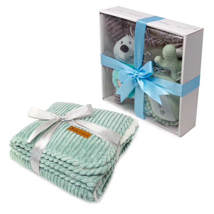 Dog Puppy Gift Set with Blanket - Aqua Blue - All Pet Solutions