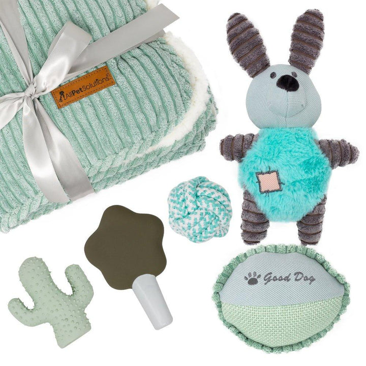 Dog Puppy Gift Set with Blanket - Aqua Blue - All Pet Solutions