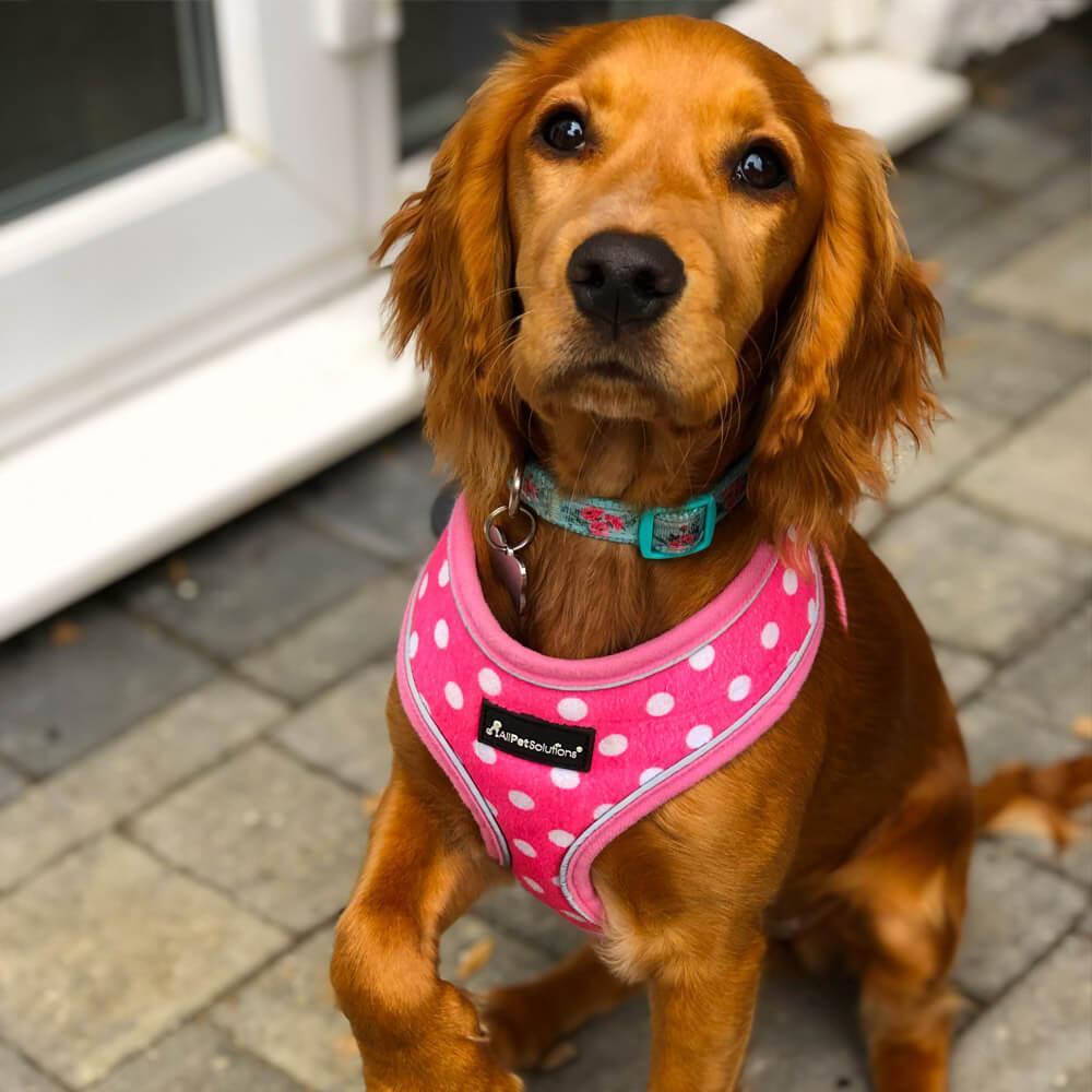 Dog Reflective Harness Pink Polka Dot S M L