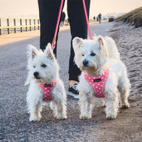 AllPetSolutions pink polka dot dog harness fabric close up
