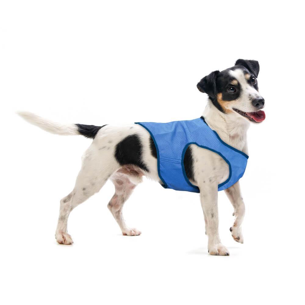 Dog Summer Cooling Vest - Extra Small 32cm - All Pet Solutions