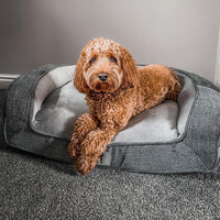AllPetSolutions Duke grey sofa dog bed viewed from above