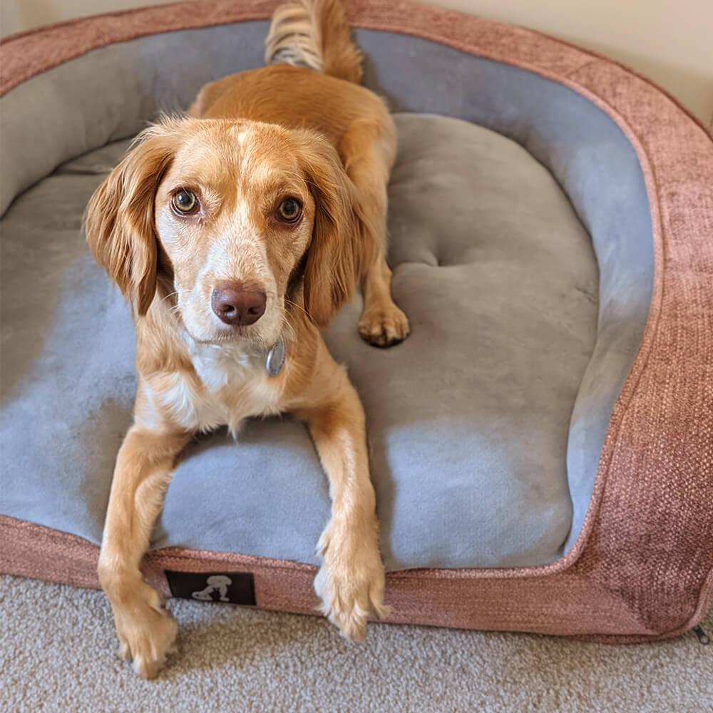 Duke Luxury Memory Foam Sofa Dog Bed Pink Large - All Pet Solutions