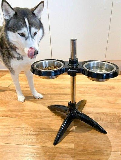 Elevated Adjustable Dog Bowl Black M/L - All Pet Solutions