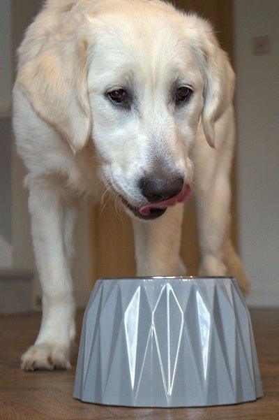 Elevated Diamond Dog Bowl - Dark Grey - All Pet Solutions