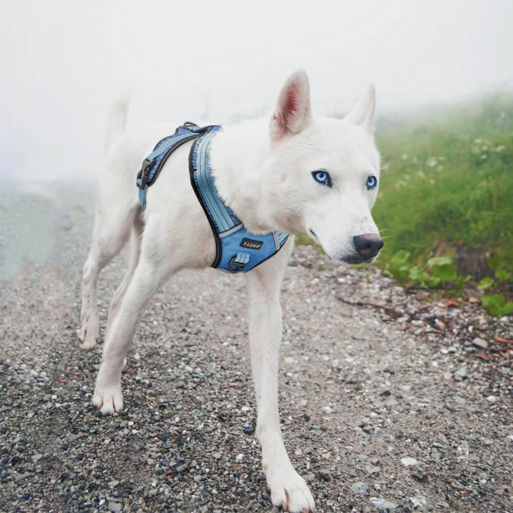 Fauna® Comfort Luxury Blue Dog Harness - S/M/L - All Pet Solutions