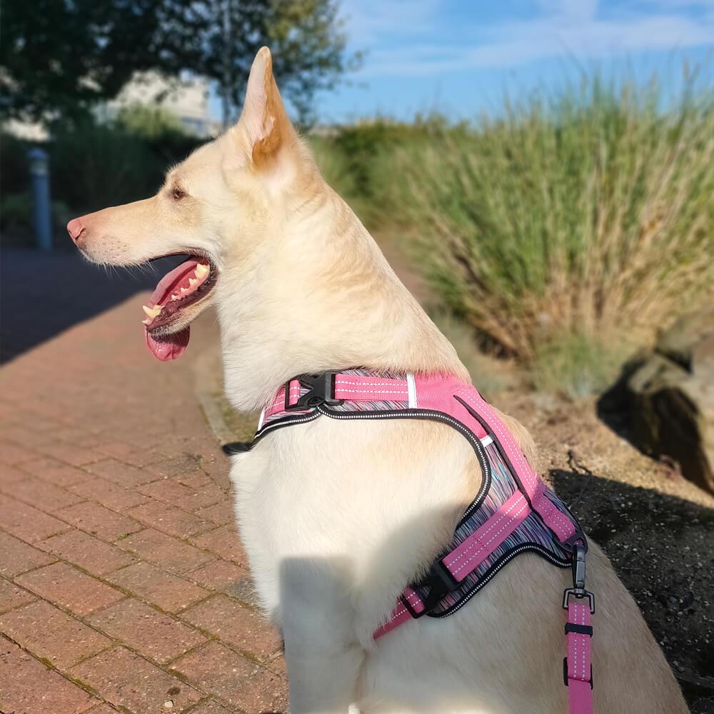 Fauna® Comfort Luxury Pink Dog Harness - S/M/L - All Pet Solutions