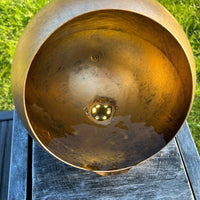 AllPetSolutions golden globe feature LED lit after dark