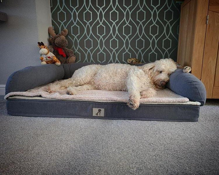 Grayson Memory Foam Orthopaedic Dog Bed
