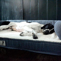 AllPetSolutions Grayson large dog bed zip-off outer cover detail