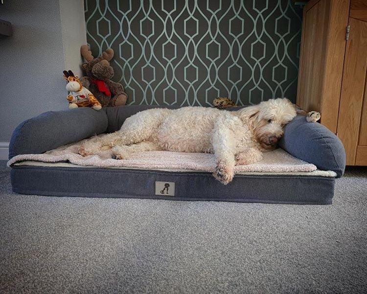 AllPetSolutions Grayson luxury memory foam dog bed, XL 120 x 80cm