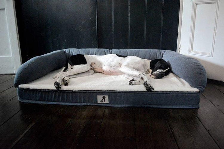 Grayson Luxury Memory Foam Dog Bed XL 120x80cm - All Pet Solutions