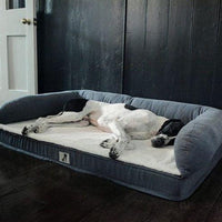 AllPetSolutions Grayson XL dog bed waterproof inner cover over the memory foam
