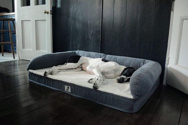 Grayson Luxury Memory Foam Dog Bed XL 120x80cm - All Pet Solutions