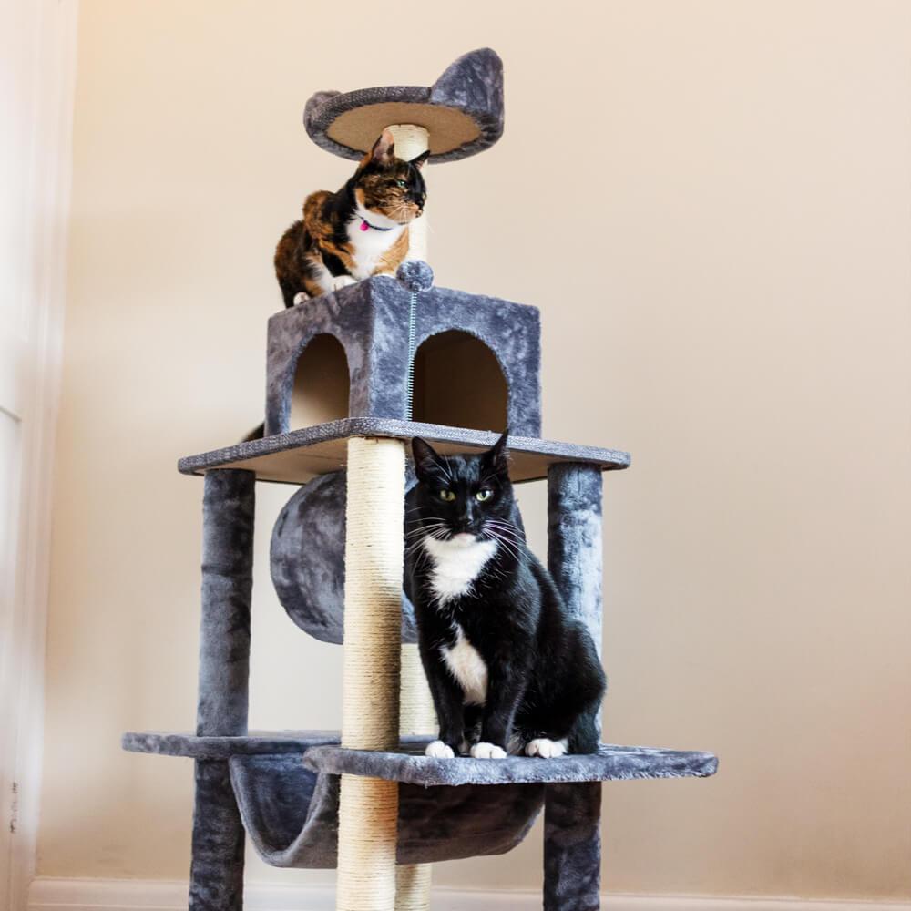 Large Cat Tree Tower Scratching Post Grey - All Pet Solutions