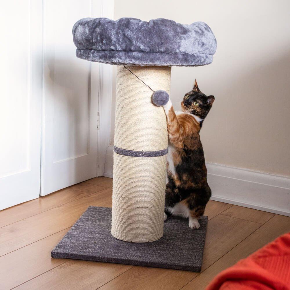 Large Jumbo Cat Scratching Post with Play Ball 74cm AllPetSolutions