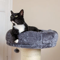 AllPetSolutions jumbo cat scratching post hanging play ball detail