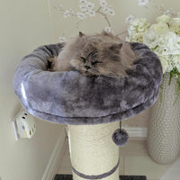 AllPetSolutions jumbo cat scratching post weighted base detail