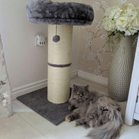 AllPetSolutions 74cm jumbo cat scratching post shown with its dimensions