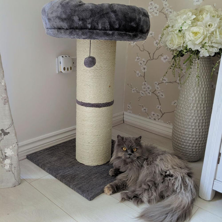 Large Jumbo Cat Scratching Post with Play Ball 74cm - All Pet Solutions