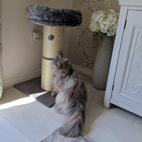 AllPetSolutions 74cm jumbo cat scratching post with a cat using it