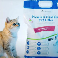 AllPetSolutions 5 litre clumping cat litter poured into a tray