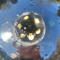 AllPetSolutions mirror globe vase mirrored ball finish close-up