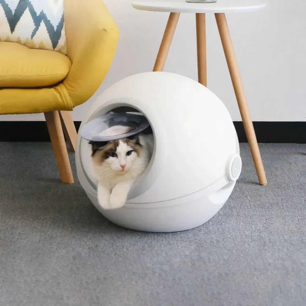 AllPetSolutions modern cat litter box in white and grey