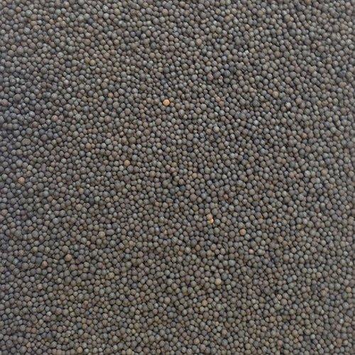 Natural Color Volcanic Substrate Black 1-2mm 5kg - All Pet Solutions