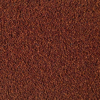 AllPetSolutions 1-2mm red volcanic substrate grain close-up
