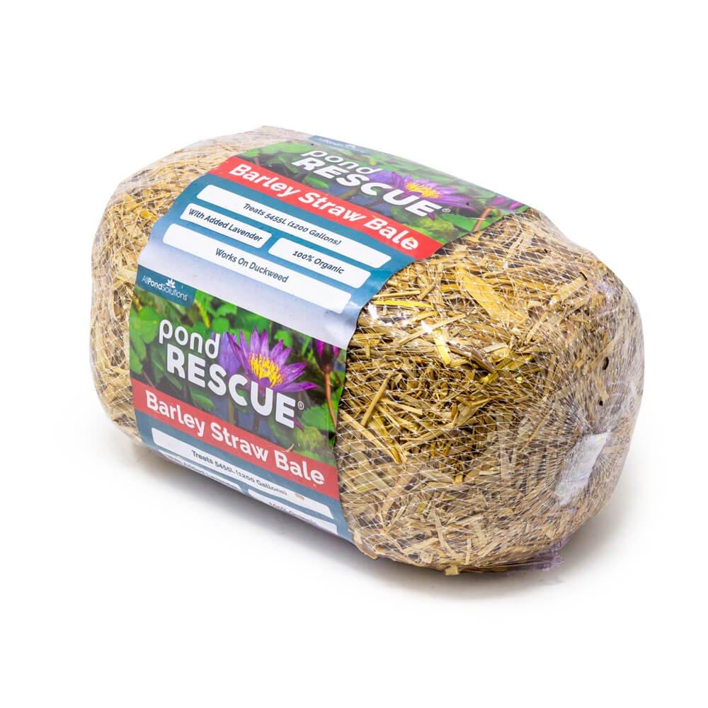 Pond Rescue Barley Straw Bale - All Pet Solutions