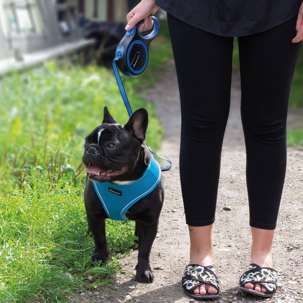 Retractable Dog Lead - Blue 3M / 5M / 8M - 15-50KG - All Pet Solutions