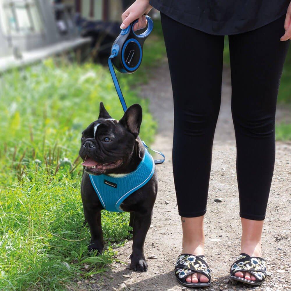 Retractable Dog Lead Purple 3M 5M 8M 15 50KG AllPetSolutions