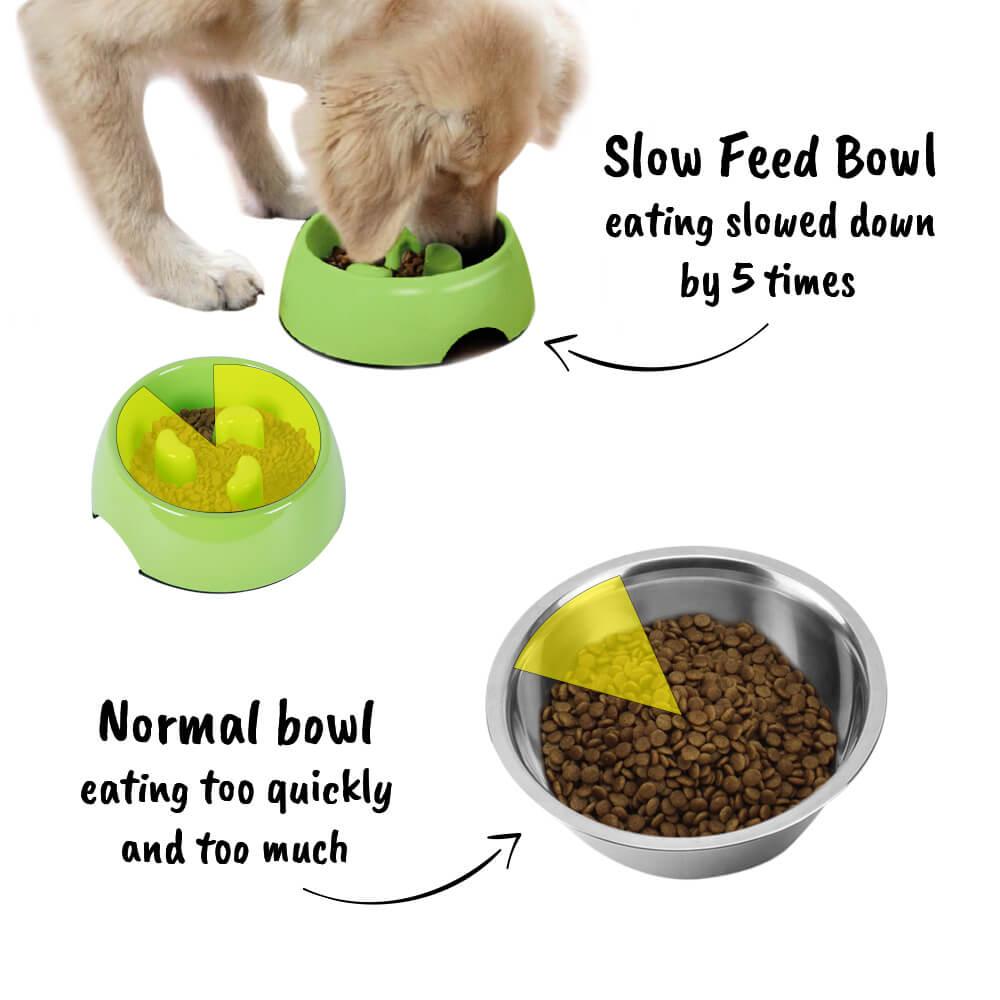 Slow Feeder Melamine Dog Bowl - Green - All Pet Solutions