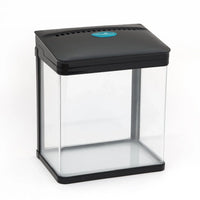 AllPetSolutions 14 litre nano tank with the LED hood lit