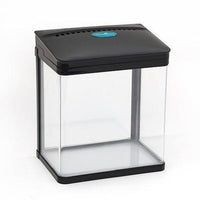 AllPetSolutions 7 litre nano tank with the LED hood lit