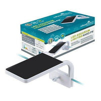 AllPetSolutions small aquarium LED light, 10000-12000K