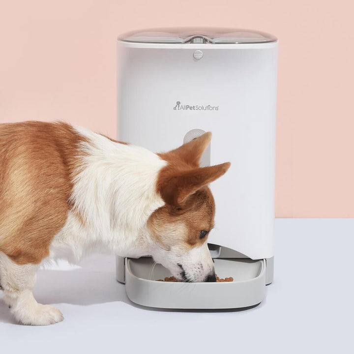 Smart Pet Auto Feeder with WIFI & Camera 4.3L - All Pet Solutions