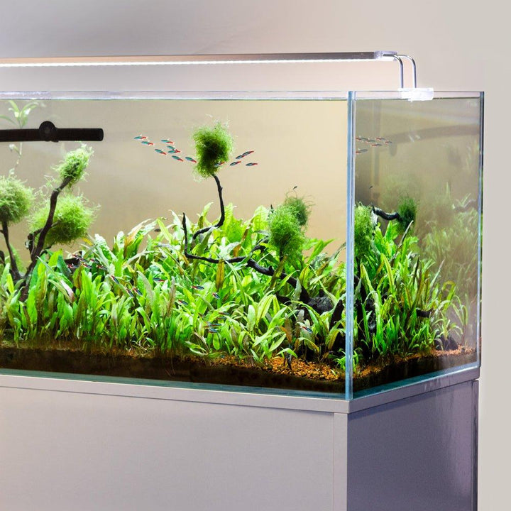 Tropical / Cold Water Aquarium LED Lights 310-1150mm - All Pet Solutions