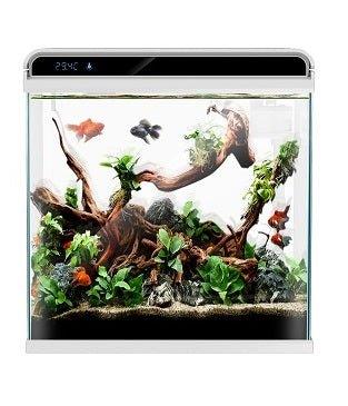 Ultra Clear Glass Nano LED Light Fish Tank - 12L - White - All Pet Solutions